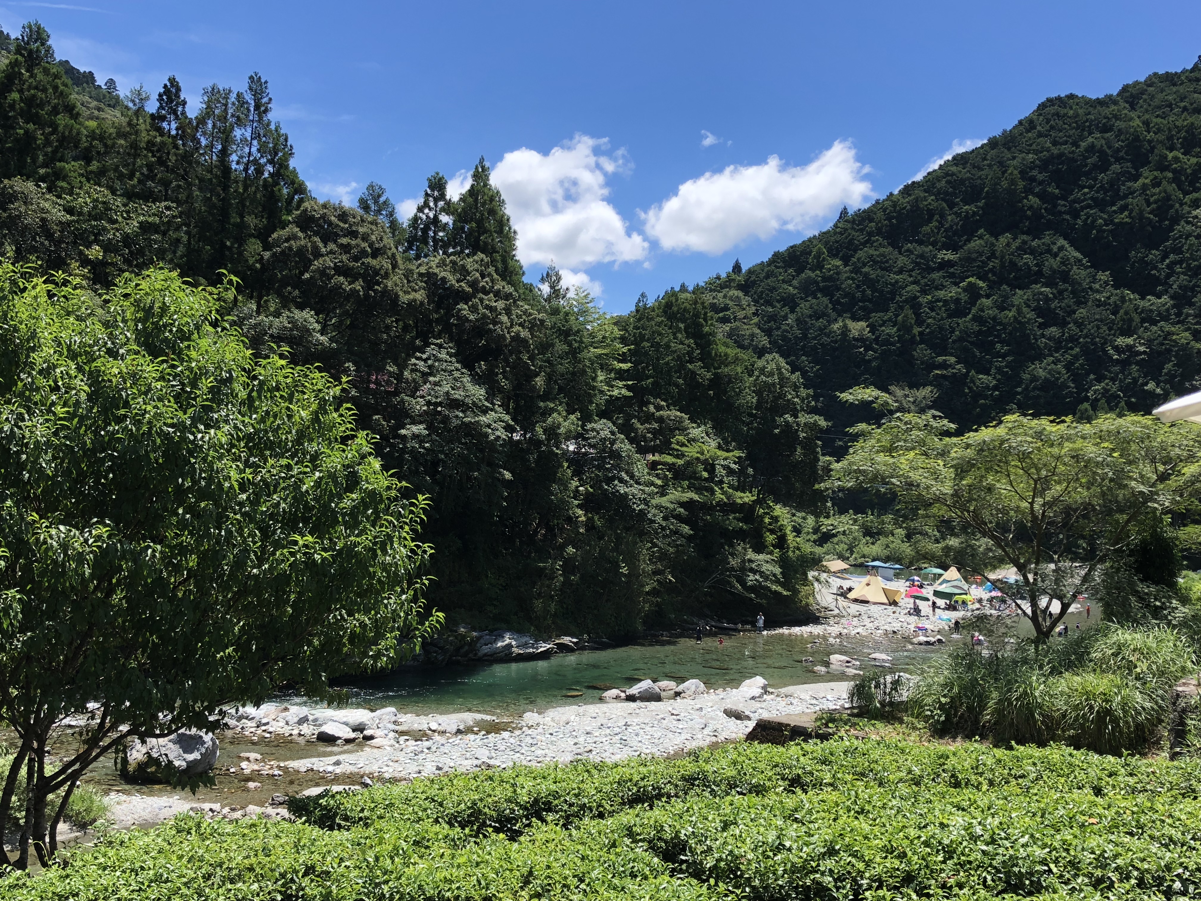 池川茶園のテラス席から見た仁淀川