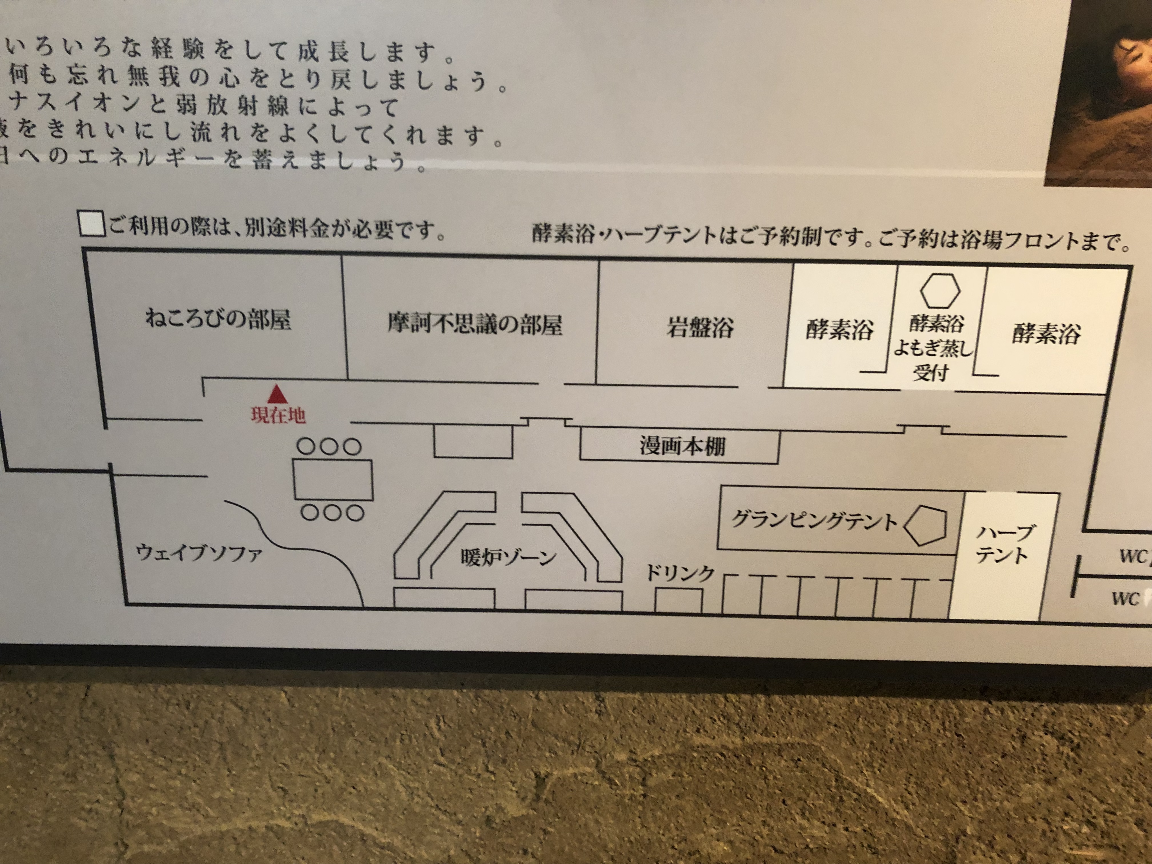 ランタンテラスの案内図