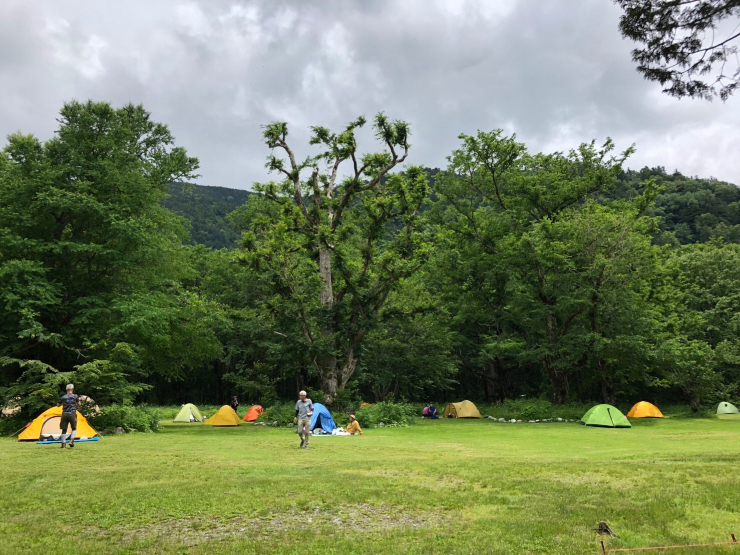  徳沢キャンプ場 